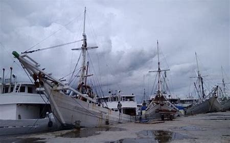 Menhub Dorong Pembentukan BUP di Kalsel